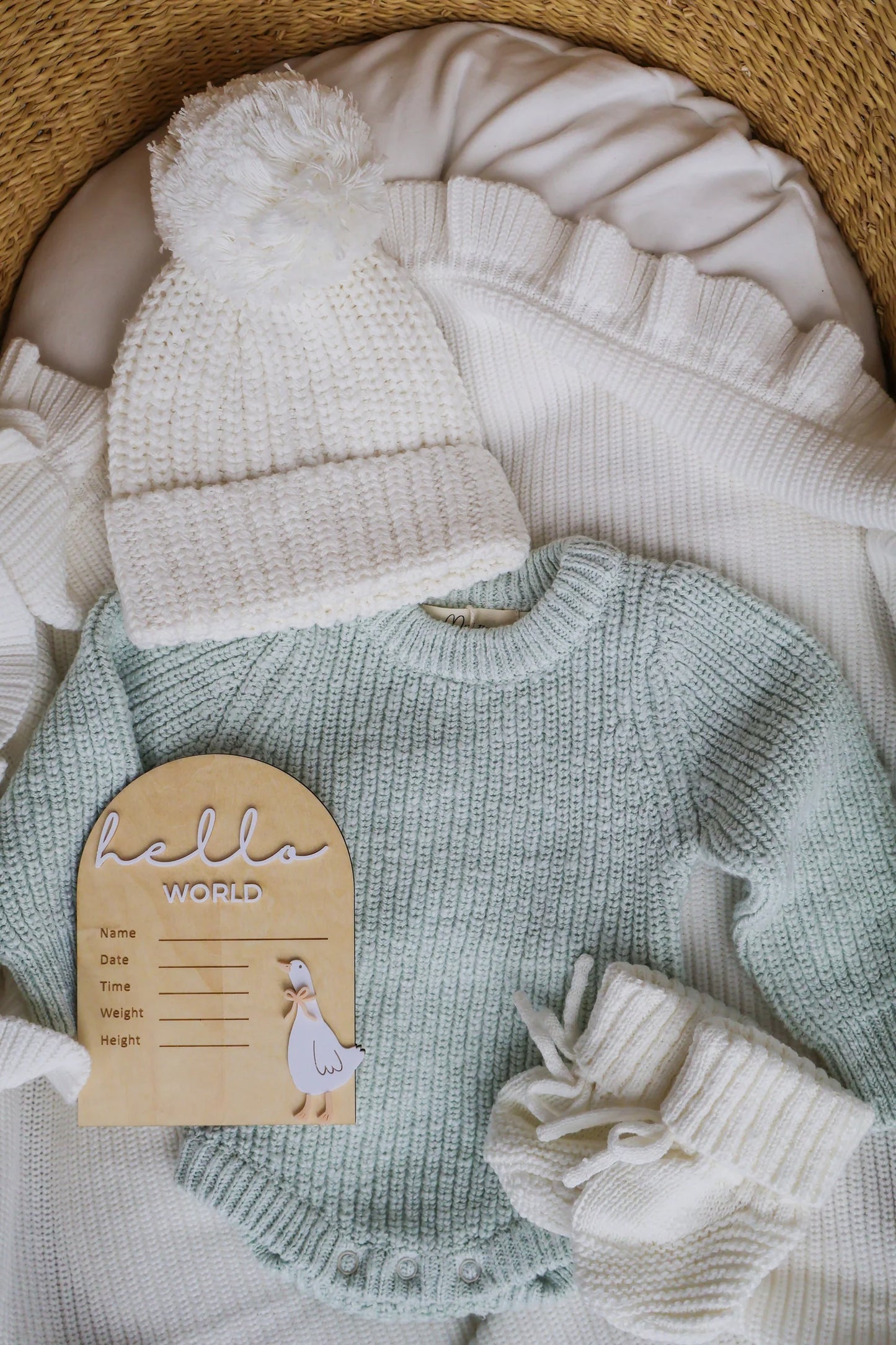 Petite + Co - Writeable Birth Announcement - Goose