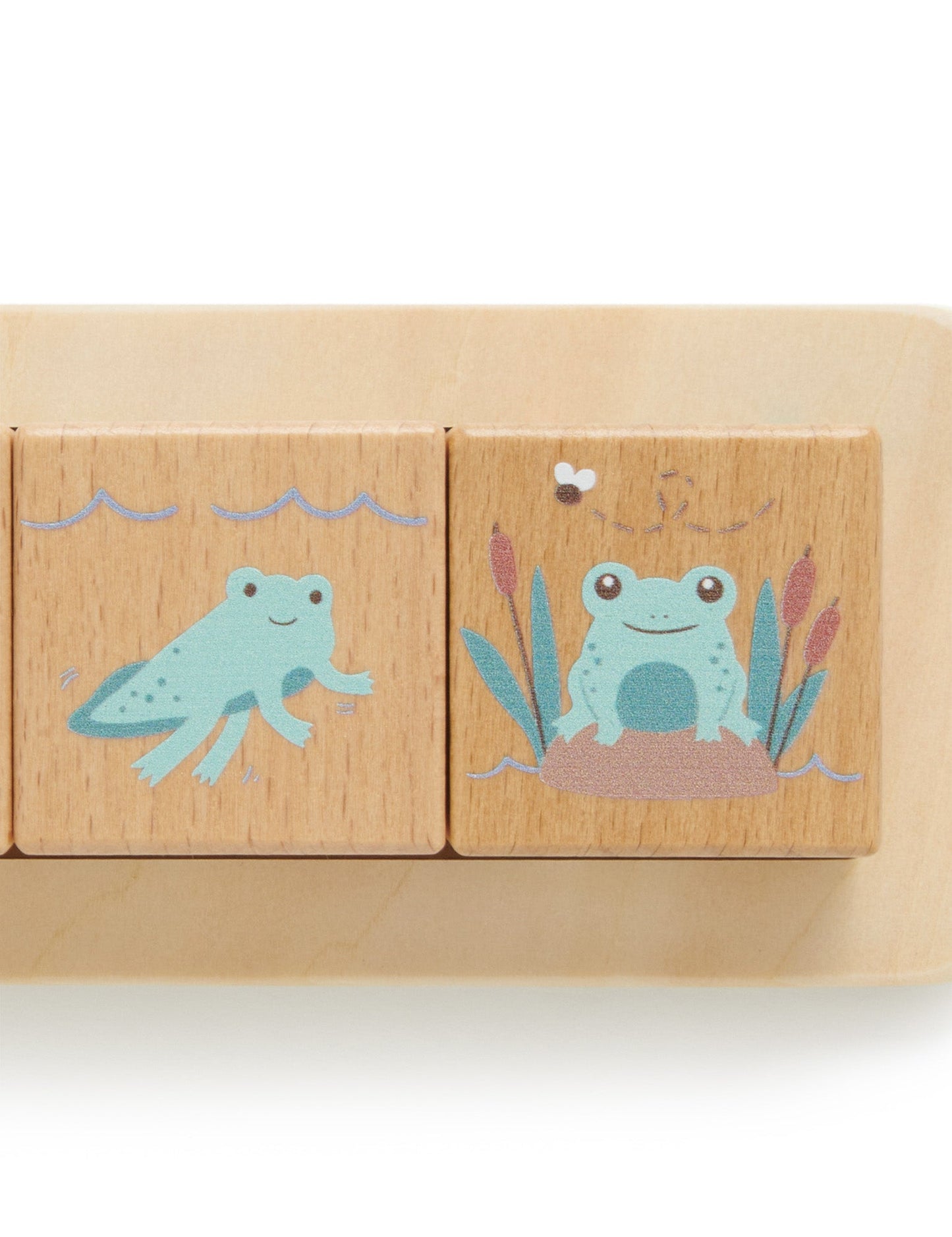 Purebaby - Wooden Life Cycle Blocks