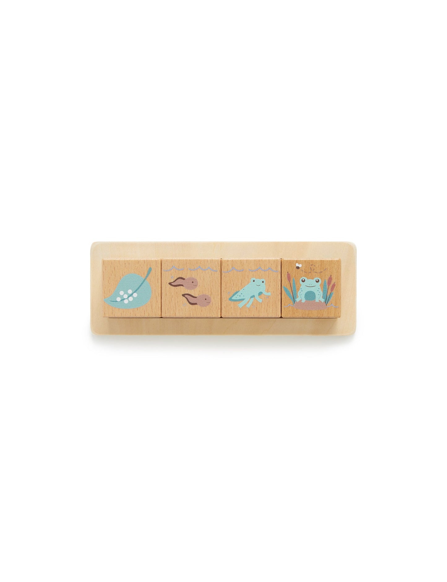 Purebaby - Wooden Life Cycle Blocks