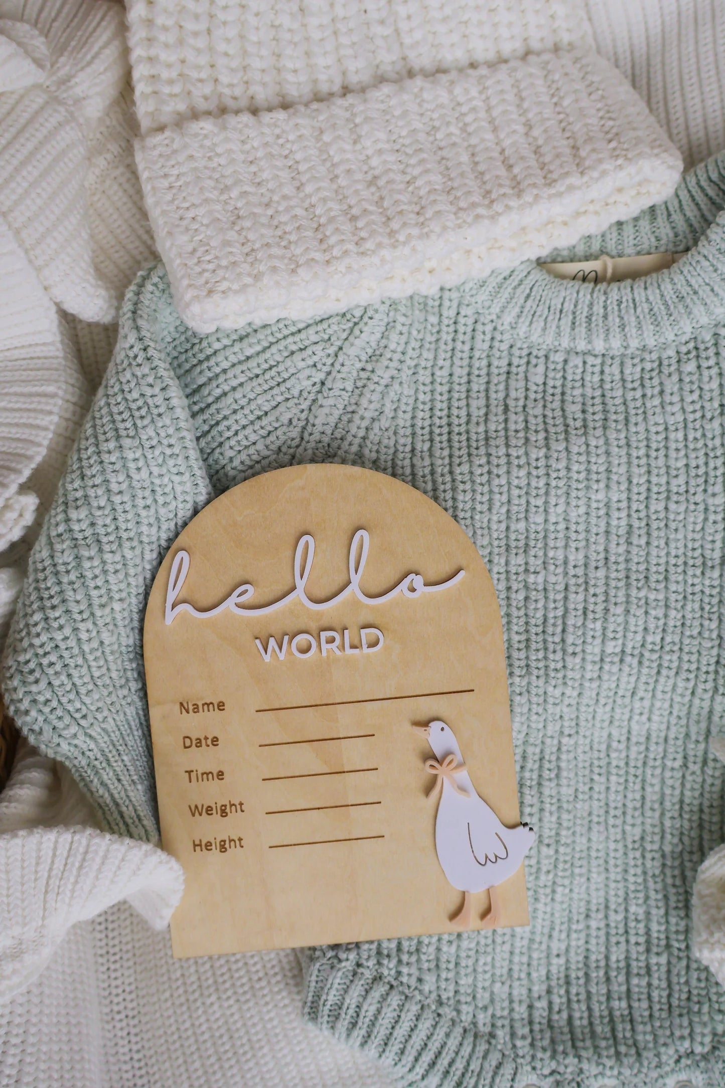Petite + Co - Writeable Birth Announcement - Goose