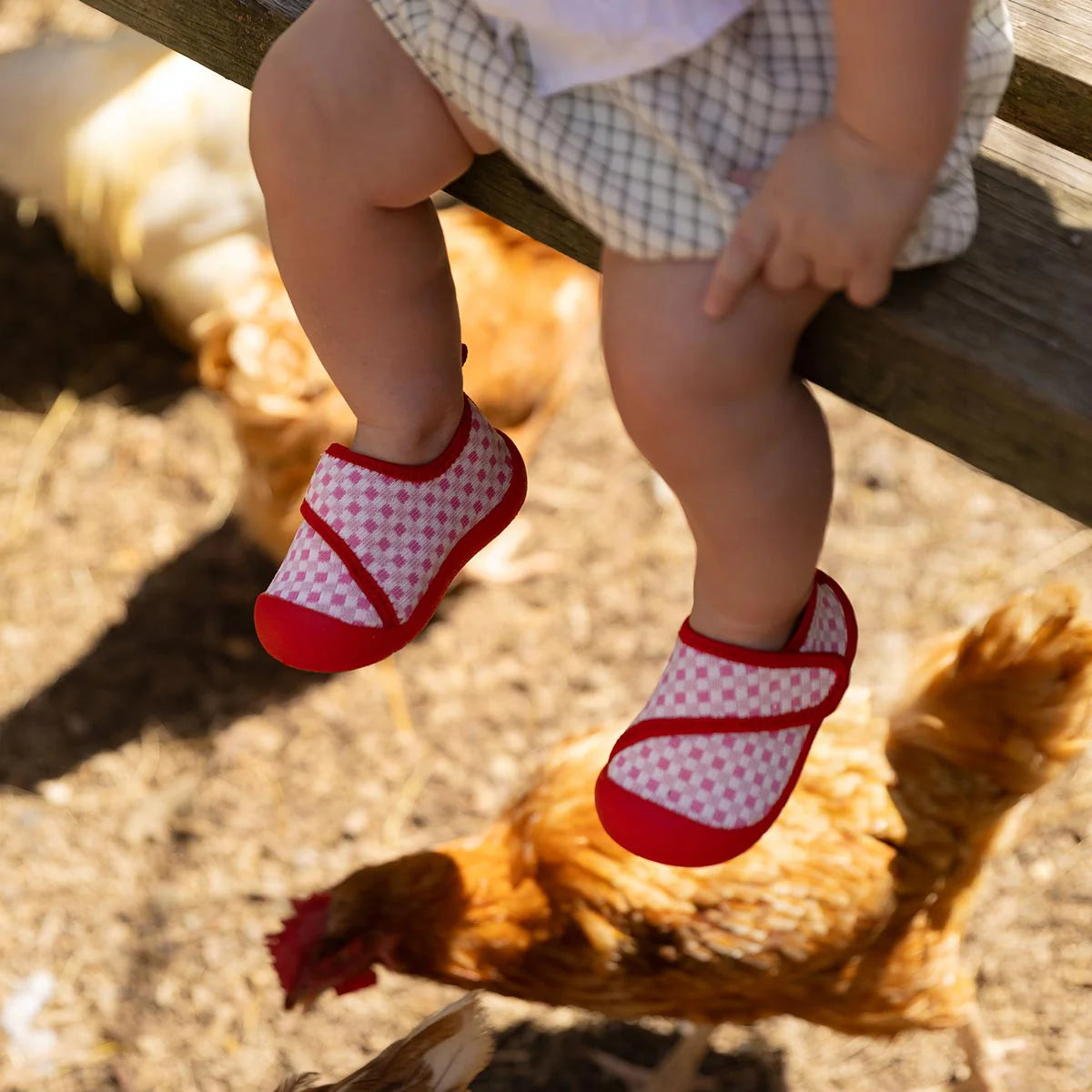 Duckies - Velcro - Strawberry Checker