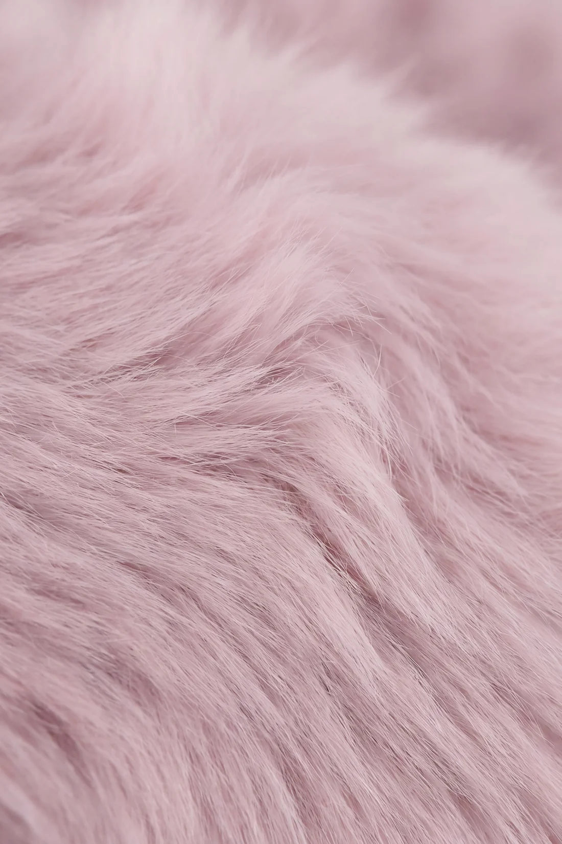 Jamie Kay Snuggle Bunnies - Moon the Kitty - Violet