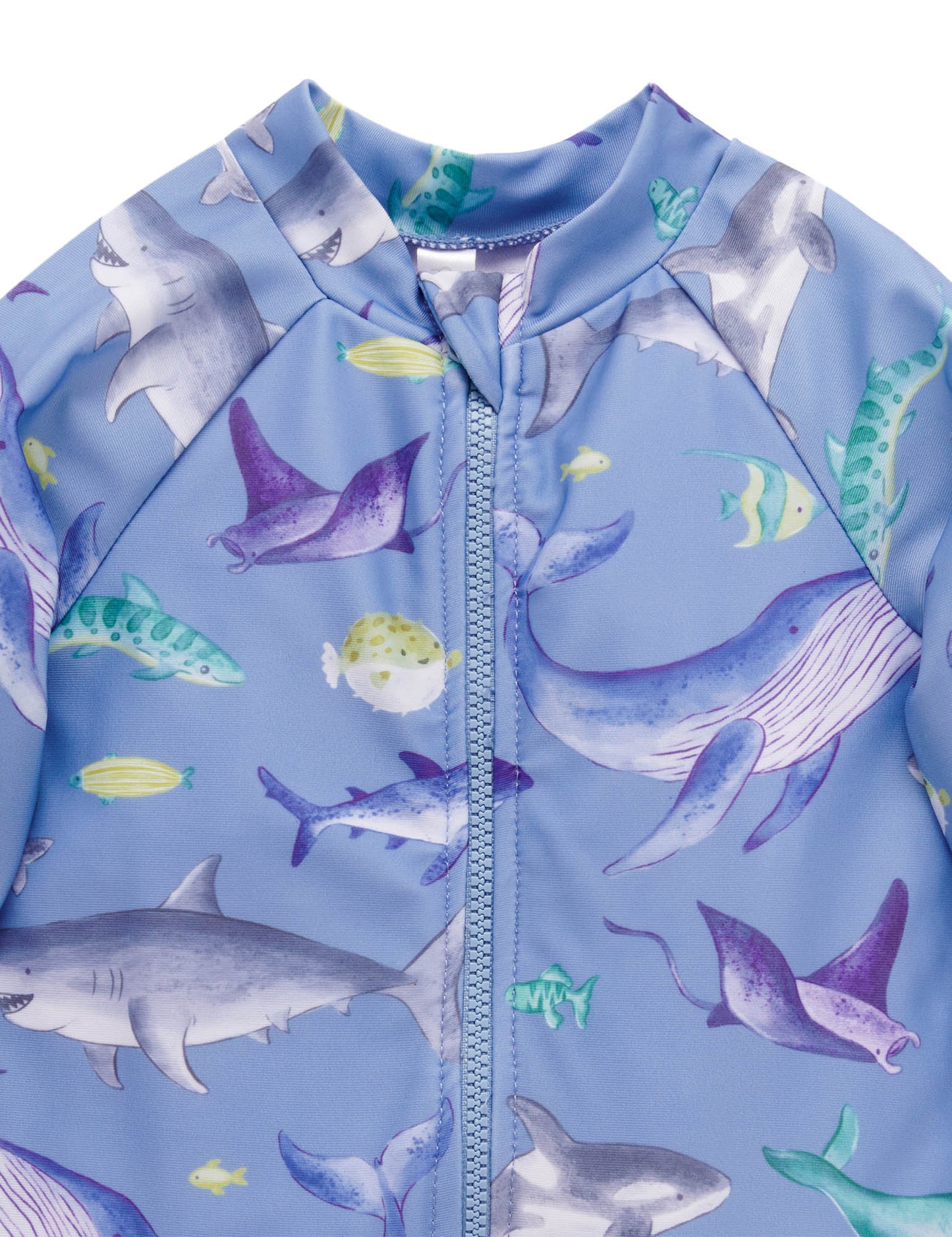 Purebaby - Printed Swimsuit - Shark Print