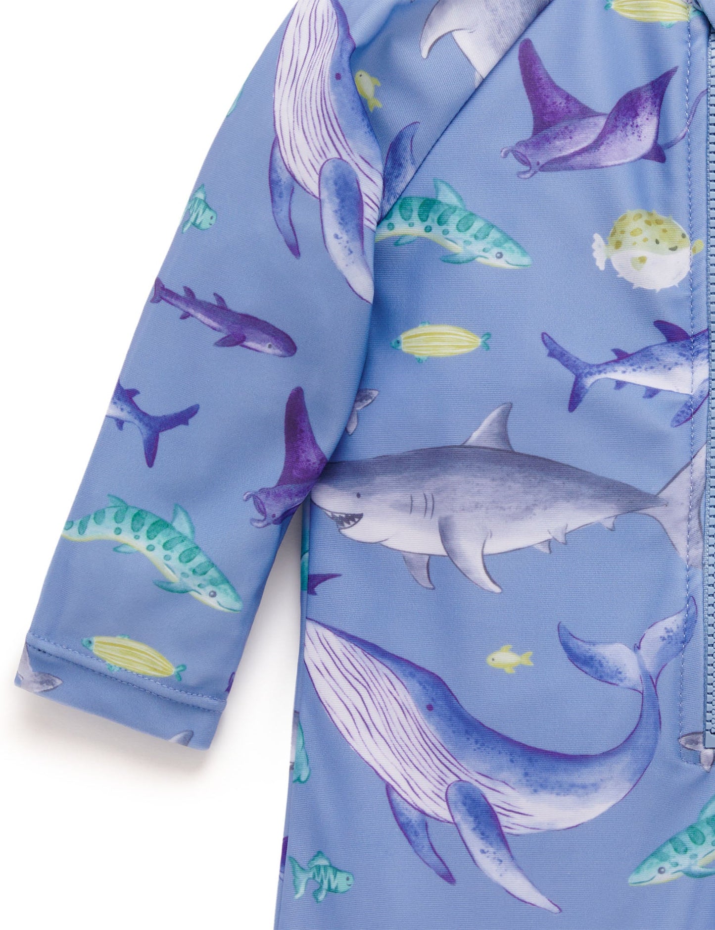 Purebaby - Printed Swimsuit - Shark Print